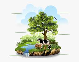 Cost-Effective Organic Farming: Reducing Input Costs While Improving Yields